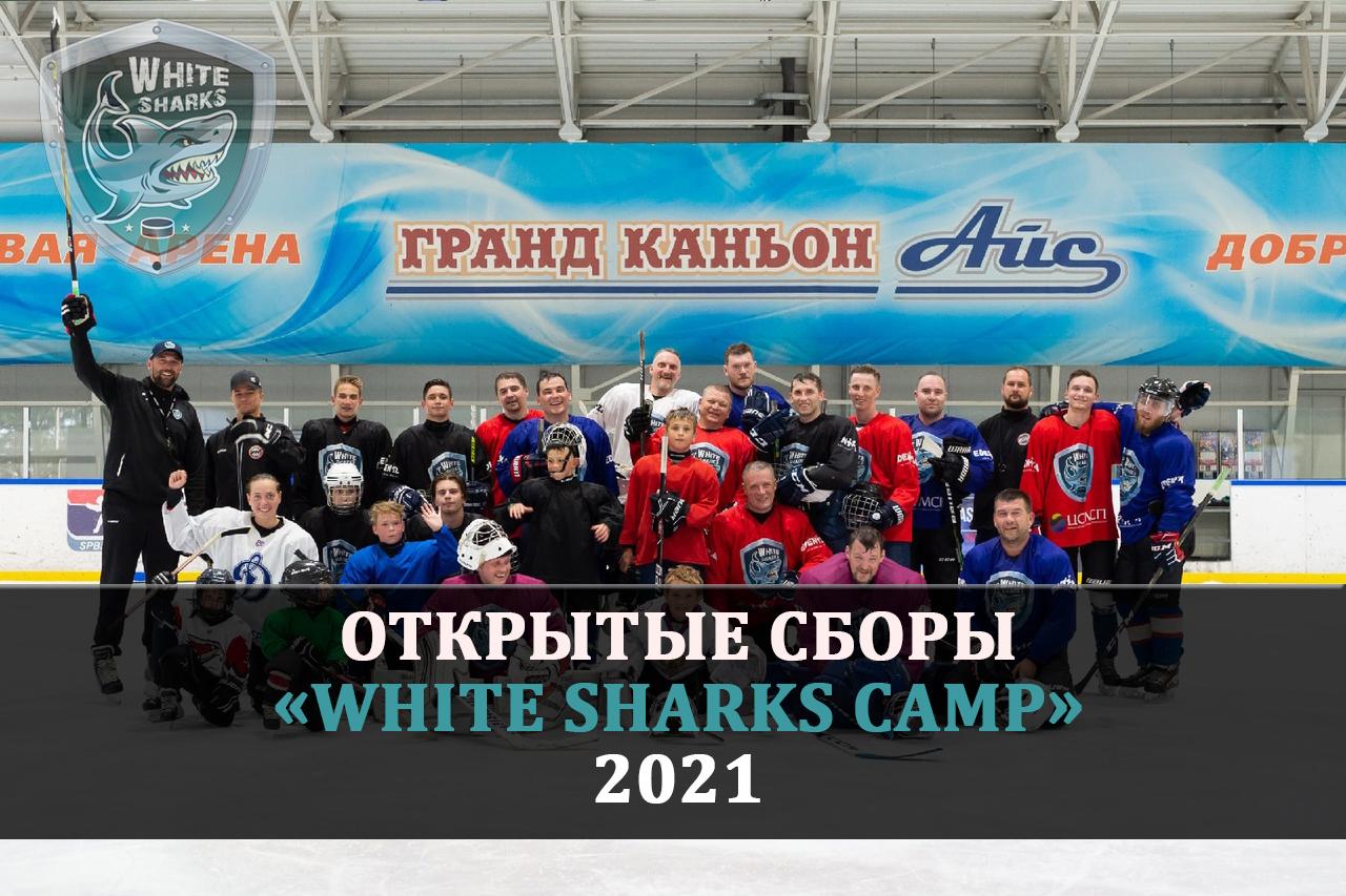 Открытые сборы White Sharks camp 2021