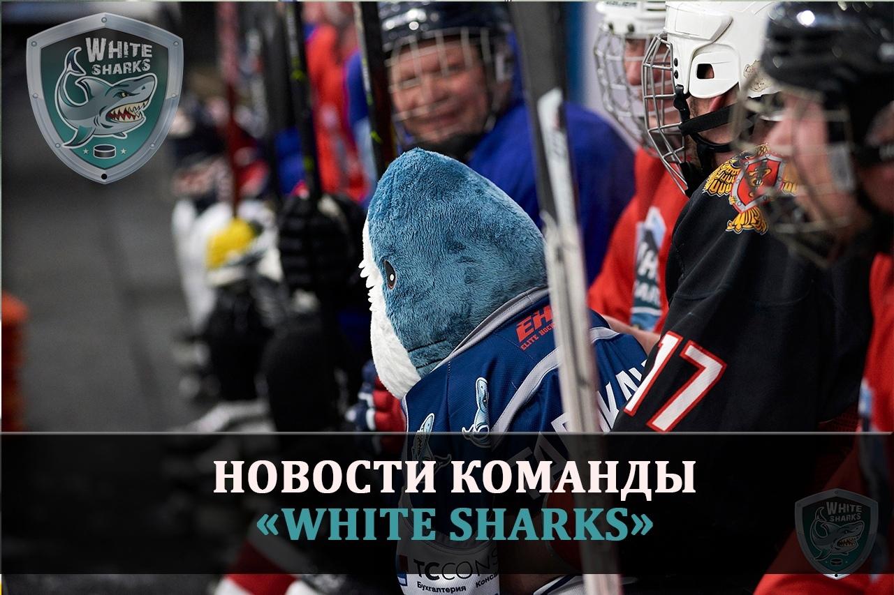 Новости команды White-Sharks